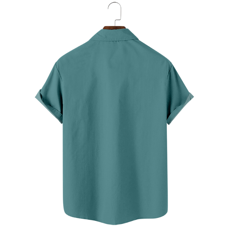 Broad Brown Striped Shirt